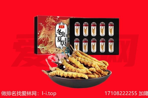 丰县回收虫草.jpg